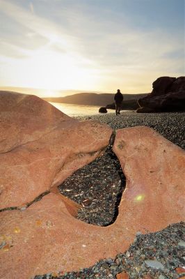 Beach Life by Lisa Stronge